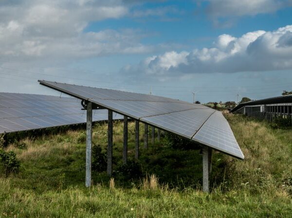Kendt chokoladeproducent åbner solcellepark på 4 hektar
